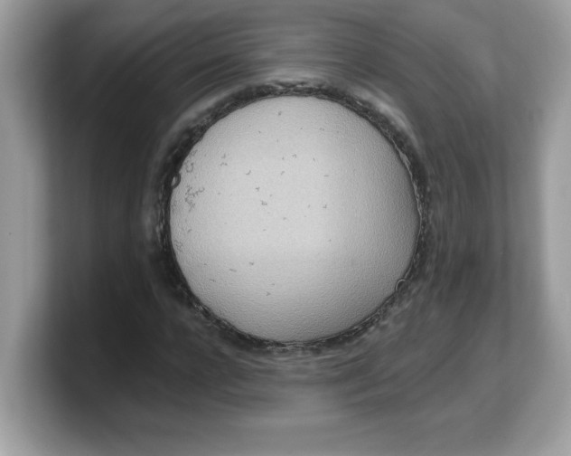 X0000103240920200809181541