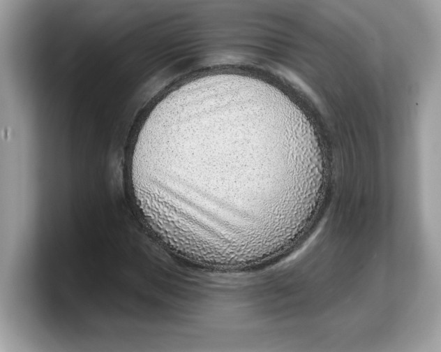 X0000103240921200809181541