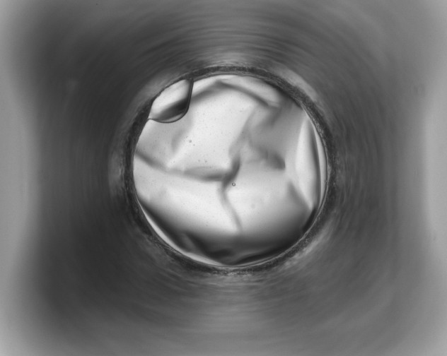 X0000103240922200809181541