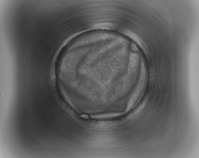 X0000103240923200809181541