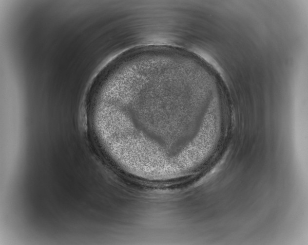 X0000103240925200809181541