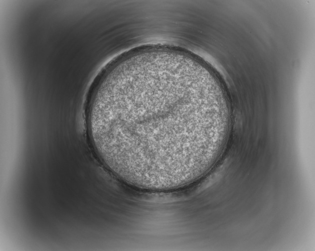 X0000103240927200809181541