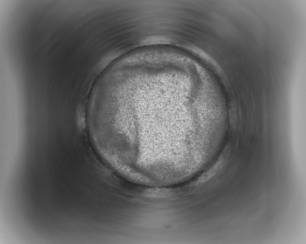 X0000103240929200809181541