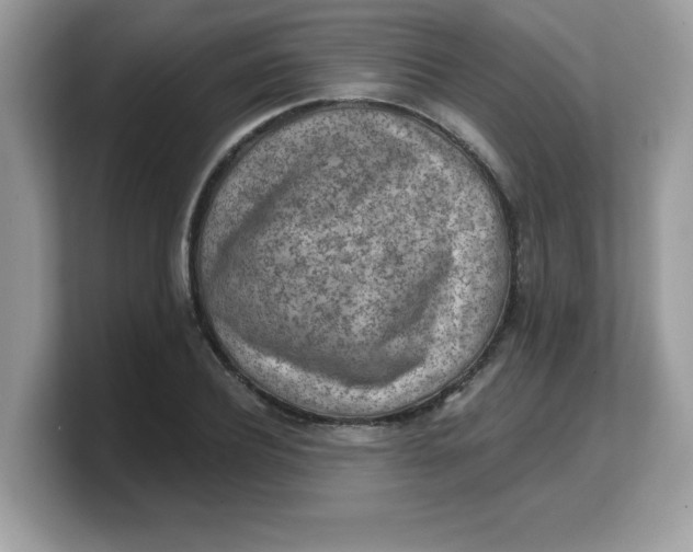 X0000103240932200809181541