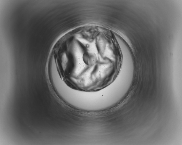 X0000103240936200809181541