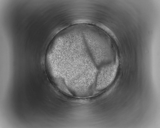 X0000103240937200809181541