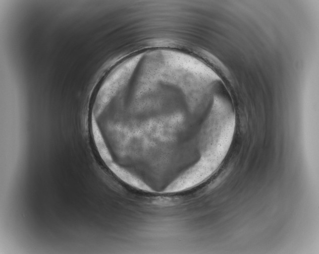 X0000103240938200809181541