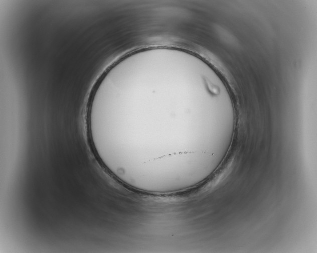 X0000103240941200809181541