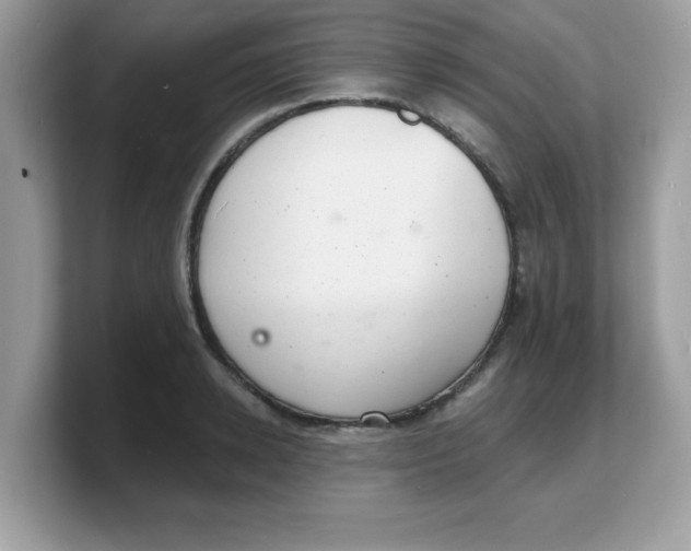 X0000103240942200809181541