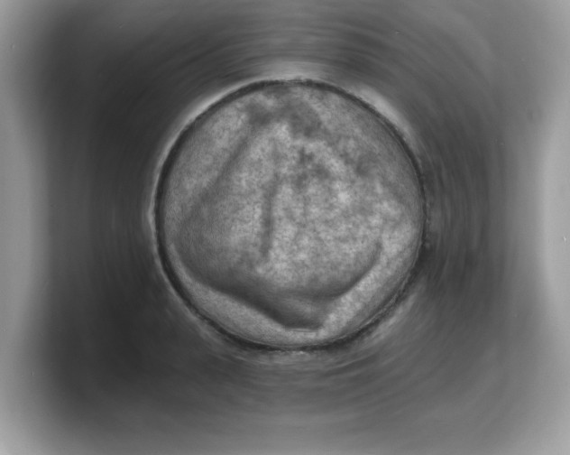 X0000103240943200809181541