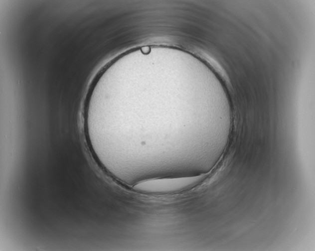 X0000103240944200809181541