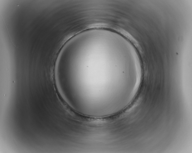 X0000103240945200809181541