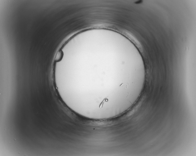 X0000103240948200809181541