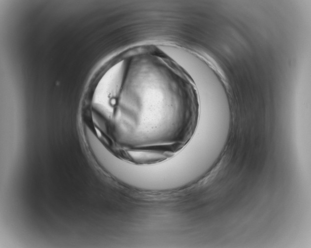 X0000103240952200809181541