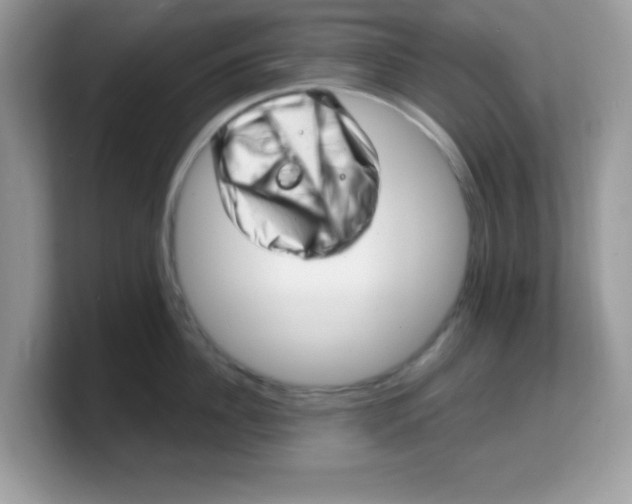 X0000103240956200809181541