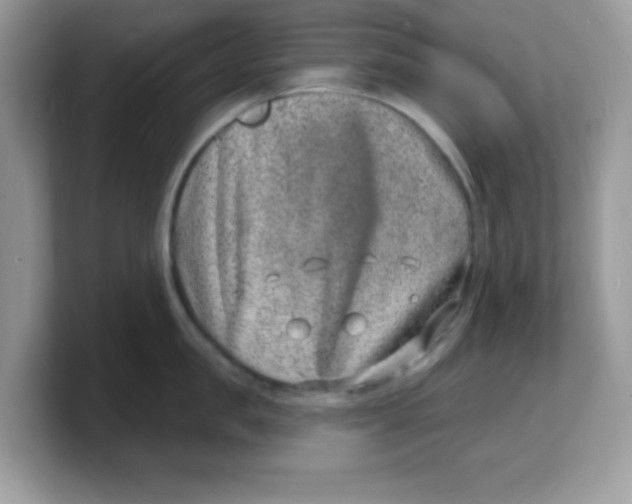 X0000103240957200809181541