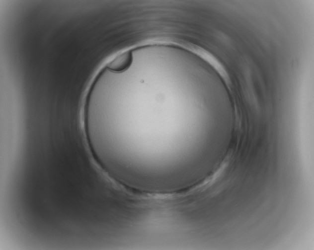 X0000103240958200809181541