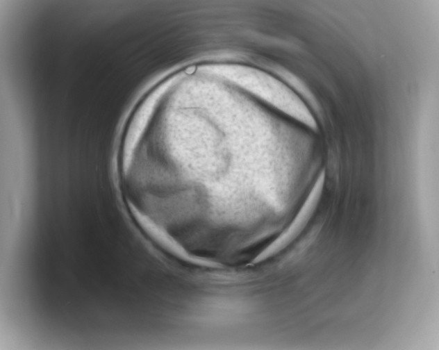 X0000103240959200809181541