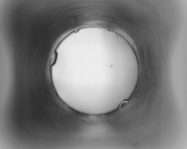 X0000103240960200809181541