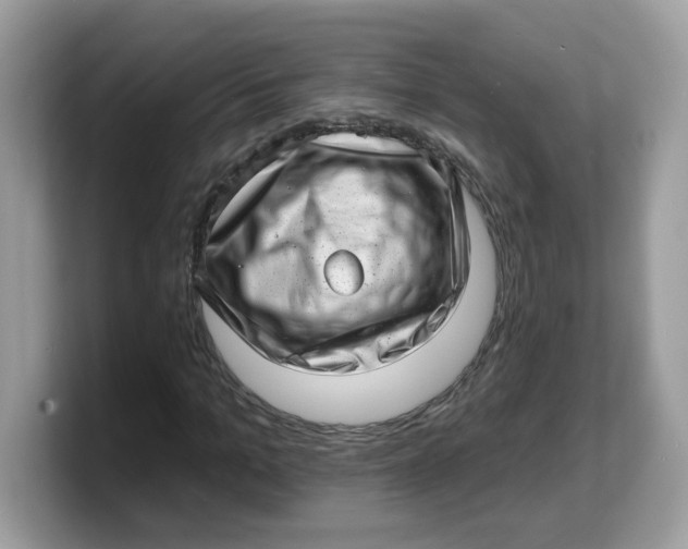 X0000103240965200809181541