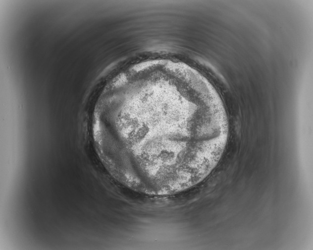 X0000103240968200809181541