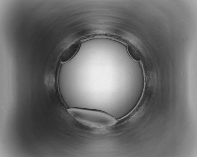 X0000103240969200809181541