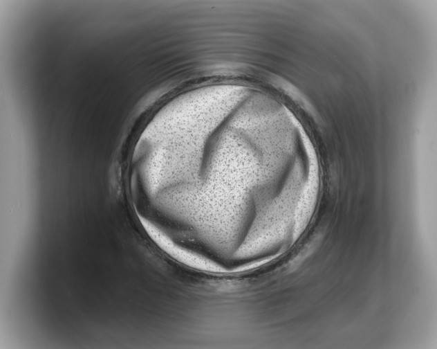 X0000103240970200809181541