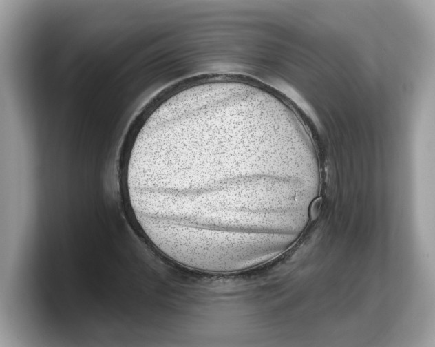 X0000103240972200809181540