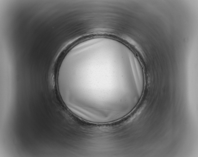 X0000103240973200809181540