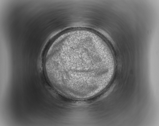 X0000103240974200809181540