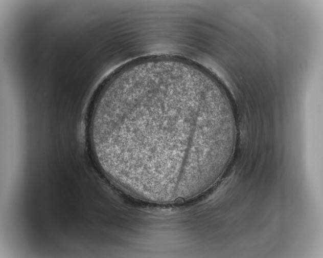 X0000103240975200809181540