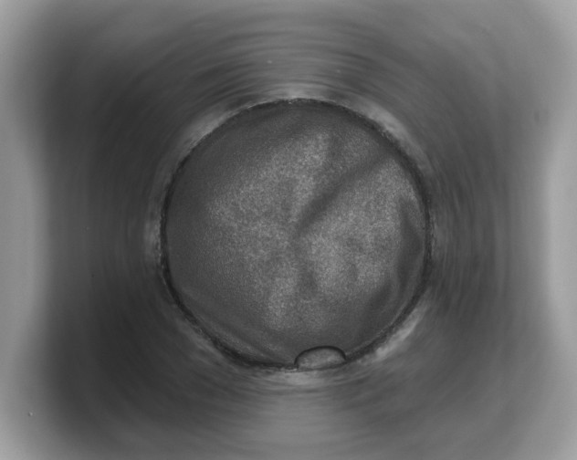 X0000103240977200809181540