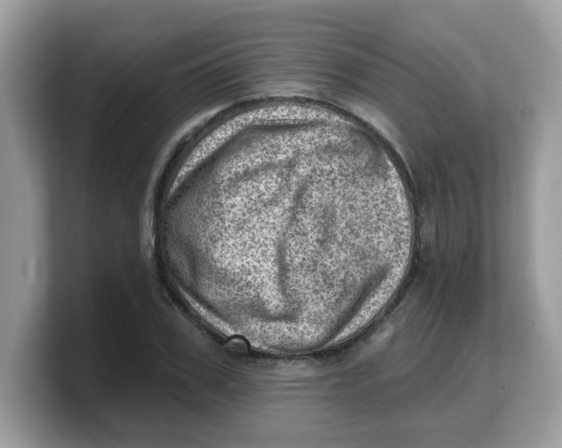 X0000103240979200809181540