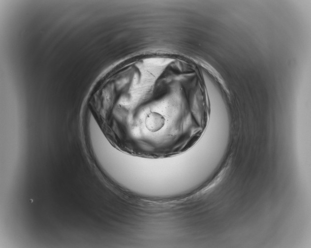 X0000103240981200809181540