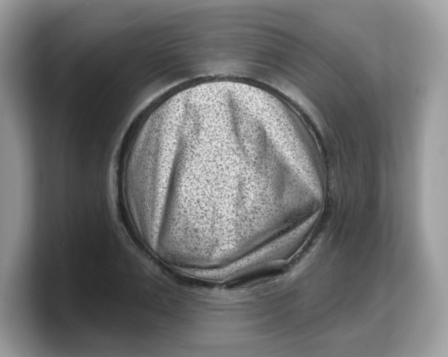 X0000103240983200809181540