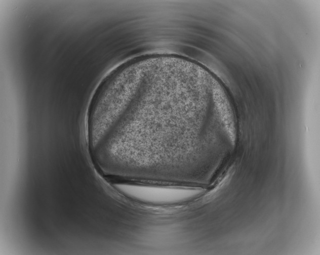 X0000103240988200809181540