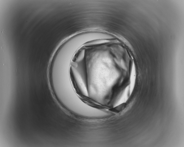 X0000103240989200809181540