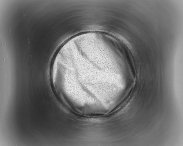 X0000103240990200809181540