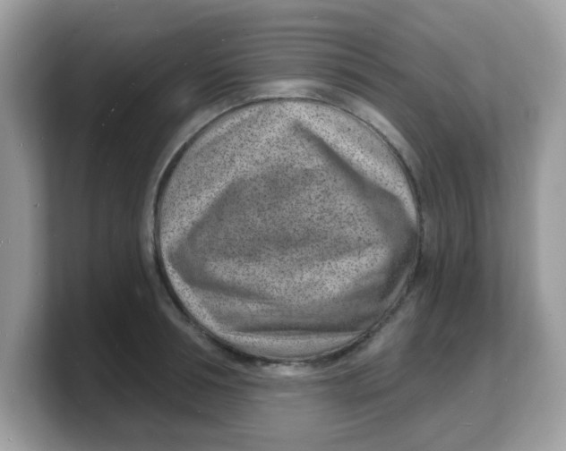 X0000103240994200809181540