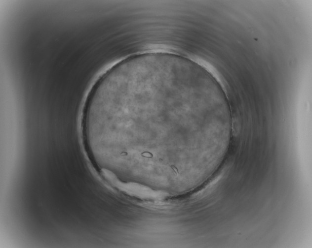 X0000103240995200809181540