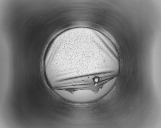 X0000103240996200809181540