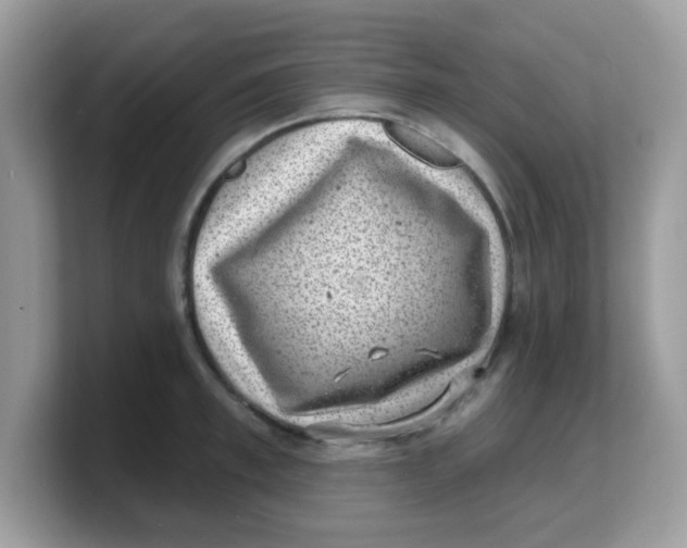 X0000103240997200809181540