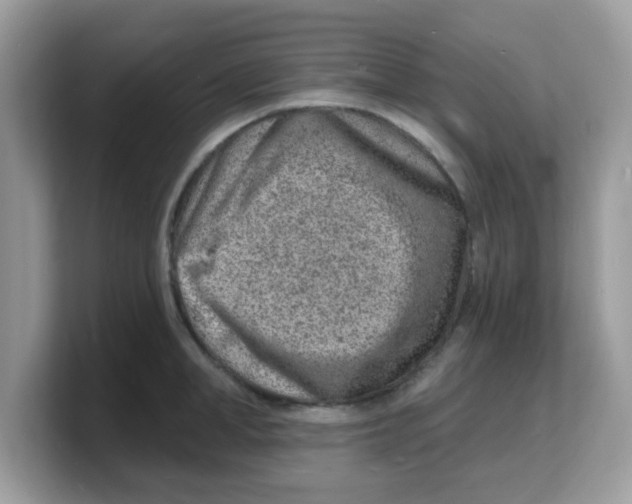 X0000103240998200809181540