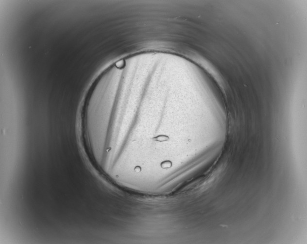 X0000103240999200809181540