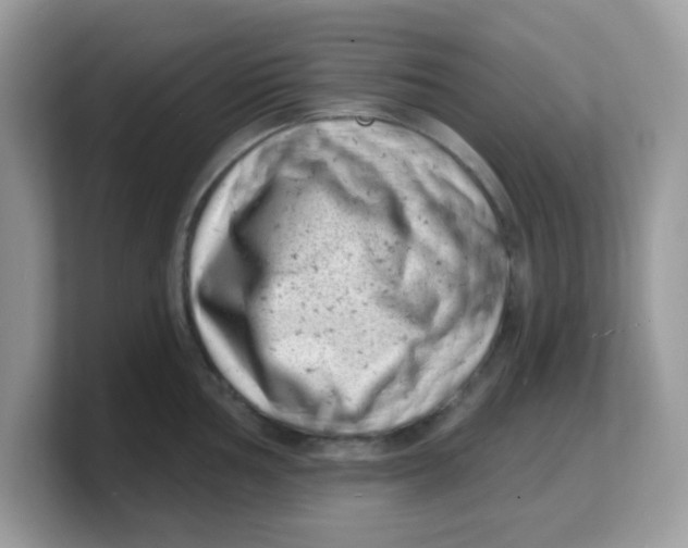 X0000103241002200809181540