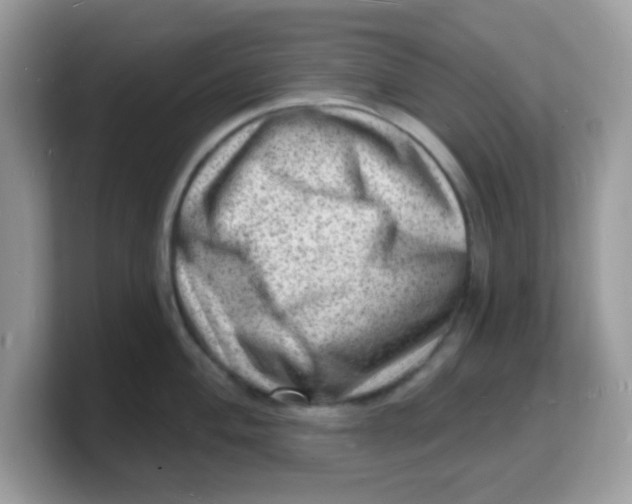 X0000103241004200809181540