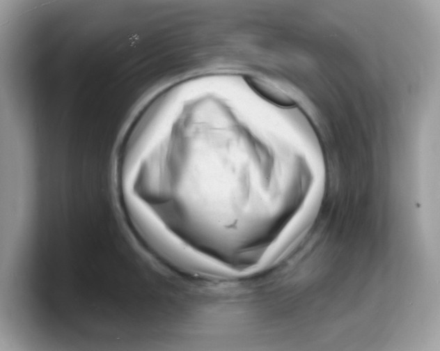 X0000103241006200809181540