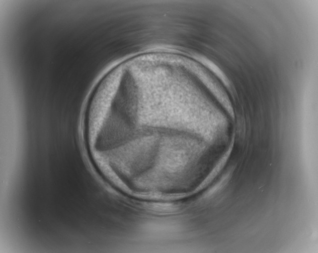 X0000103241007200809181540