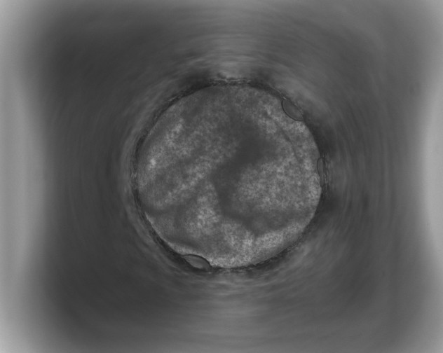 X0000103241009200809181539