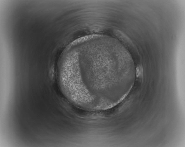 X0000103241011200809181539